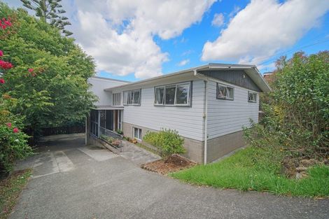 Photo of property in 51 Sunset Road, Totara Vale, Auckland, 0632