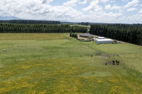 Photo of property in 779 Poyntzs Road, Eyrewell, Rangiora, 7476