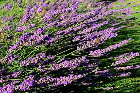 Photo of property in 804 Egmont Road, Hillsborough, New Plymouth, 4372