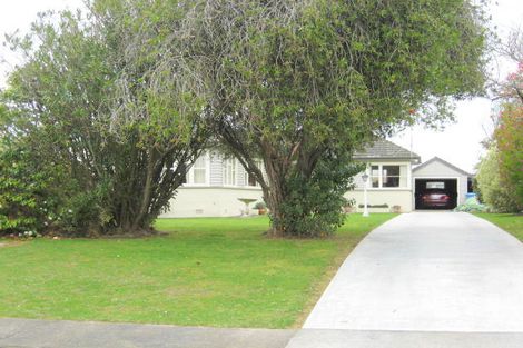 Photo of property in 26 Graham Street, Levin, 5510