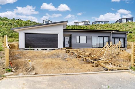 Photo of property in 41 Ken Douglas Drive, Aotea, Porirua, 5024