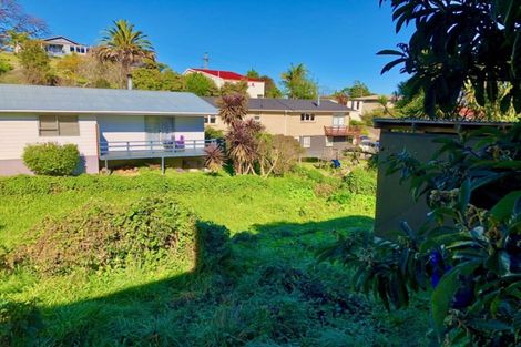 Photo of property in 200 Franklyn Street, Thames, 3500