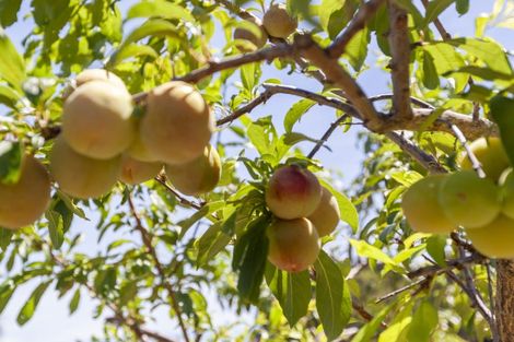 Photo of property in 105 Waterfall Road, Paraparaumu, 5032