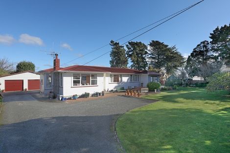 Photo of property in 21 Milne Street, Marton, 4710