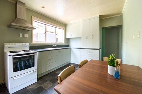 Photo of property in 13 Talbot Street, East Gore, Gore, 9710