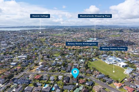 Photo of property in 13 Booralee Avenue, Botany Downs, Auckland, 2010
