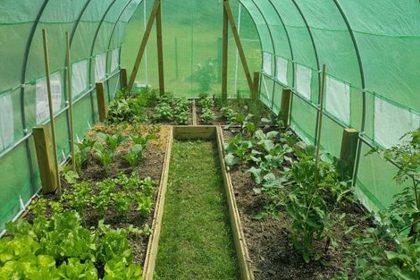 Photo of property in 5523 Masterton Castlepoint Road, Tinui, Masterton, 5889