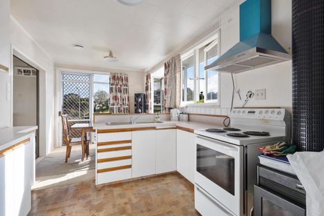 Photo of property in 38 Ruru Crescent, Putaruru, 3411