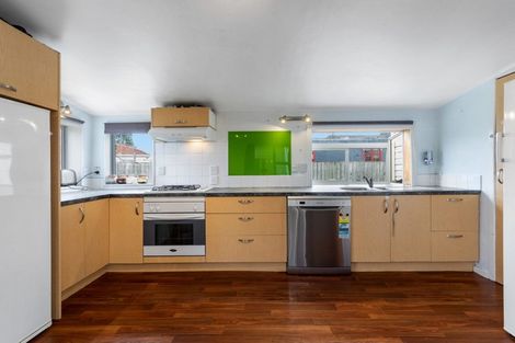 Photo of property in 20 Lybster Street, Blenheim, 7201