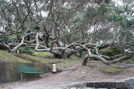 Photo of property in 3/23a Gladstone Road, Northcote, Auckland, 0627