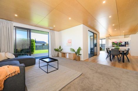 Photo of property in 123 Pharazyn Street, Feilding, 4702