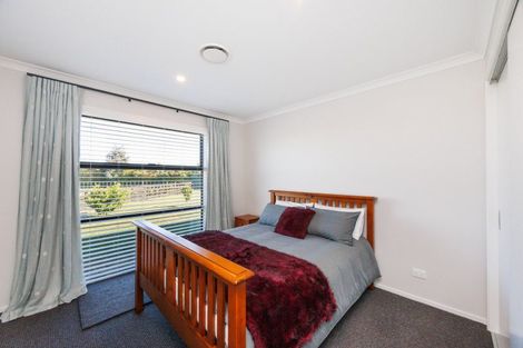 Photo of property in 79 Jackeytown Road, Tiakitahuna, Palmerston North, 4477