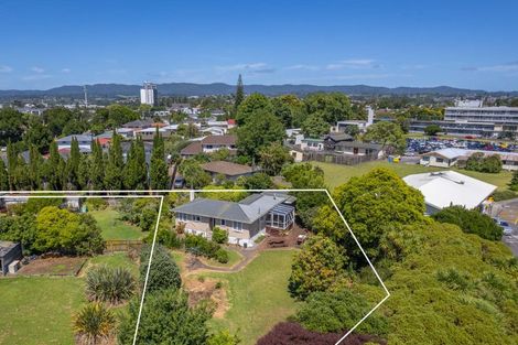 Photo of property in 68 Buscomb Avenue, Henderson, Auckland, 0610