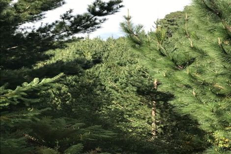 Photo of property in 487 Whangamata Road, Kinloch, Taupo, 3377