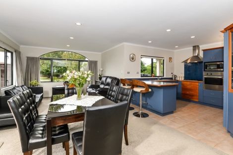 Photo of property in 29 Tuirangi Street, Flagstaff, Hamilton, 3210