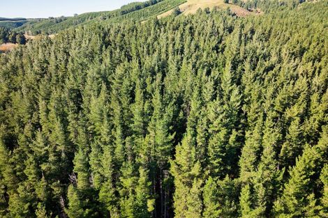 Photo of property in 8p Davaar Road, Greta Valley, 7387