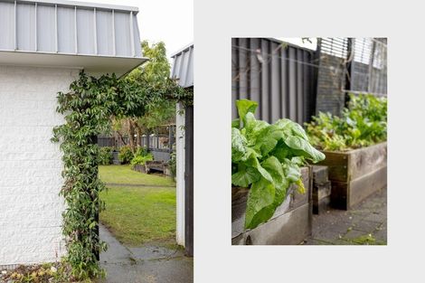 Photo of property in 38 Matavai Street, Mount Maunganui, 3116