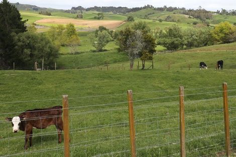 Photo of property in 1025 Hetherington Road, Ruawaro, Huntly, 3772