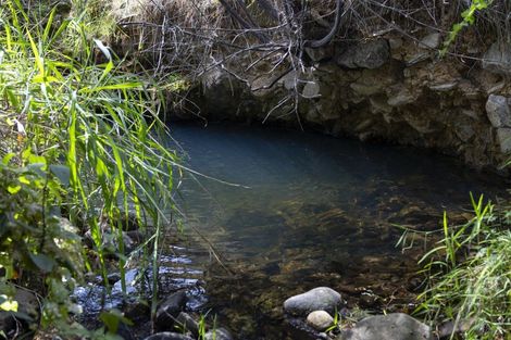 Photo of property in 39 Gangway Road, Totara North, Kaeo, 0479