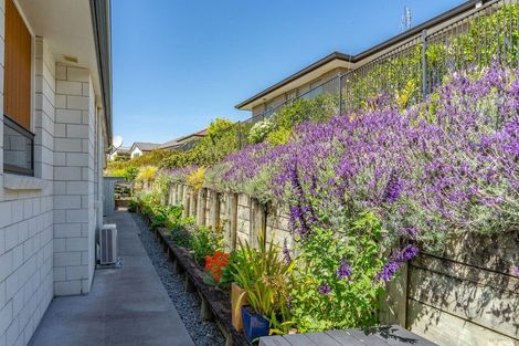 Photo of property in 161 Margaret Drive, Omokoroa, 3114