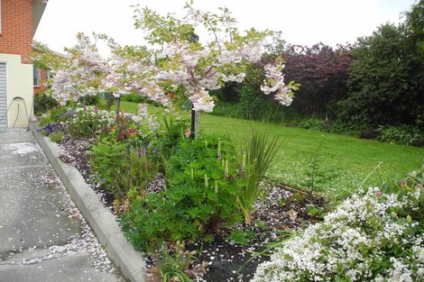 Photo of property in 11 Oxford Street, Waimate, 7924