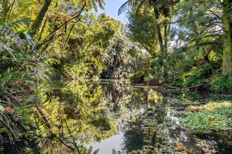 Photo of property in 66 Kent Terrace, Midhirst, Stratford, 4394