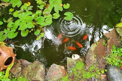 Photo of property in 814 Pyes Pa Road, Pyes Pa, Tauranga, 3173