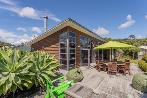 Photo of property in 113 Opera Place, Whangapoua, Coromandel, 3582