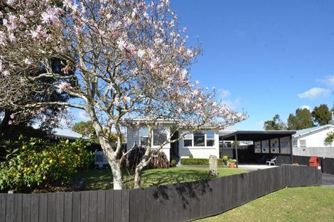 Photo of property in 1/10 Oregon Place, Papakura, 2110
