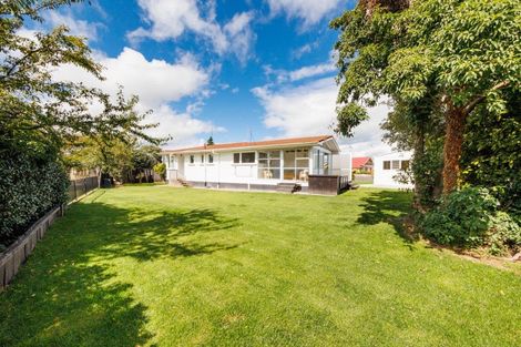 Photo of property in 73 Derby Street, Feilding, 4702