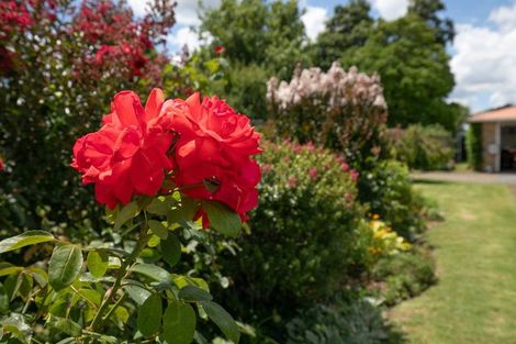 Photo of property in 12 Ohinewai Road North, Ohinewai, Huntly, 3771