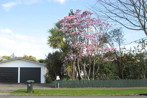 Photo of property in 29 Bridge Street, Whakatane, 3120
