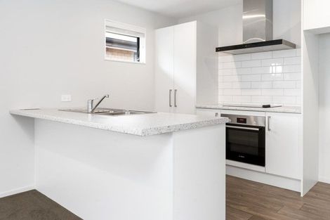 Photo of property in 29 Mills Road, Marshland, Christchurch, 8051