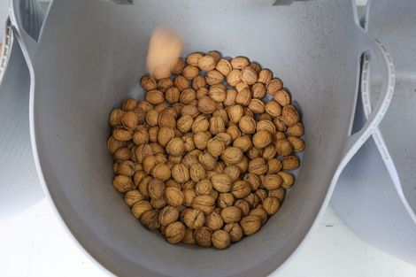 Photo of property in 60 Golden Hills Road, Appleby, Richmond, 7081