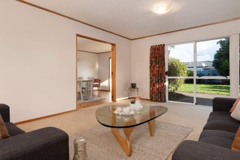 Photo of property in 205 Grenada Street, Mount Maunganui, 3116