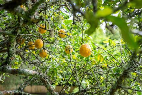 Photo of property in 136 Western Hills Drive, Kensington, Whangarei, 0112