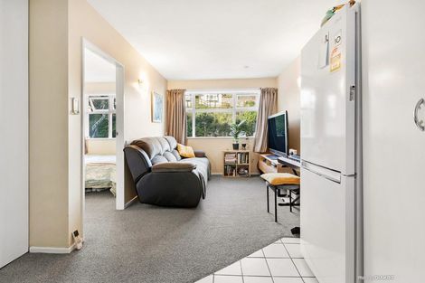 Photo of property in Parkland Flats, 6/51 Adams Terrace, Kelburn, Wellington, 6021