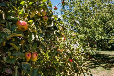 Photo of property in 265 Taonui Road, Aorangi, Feilding, 4775