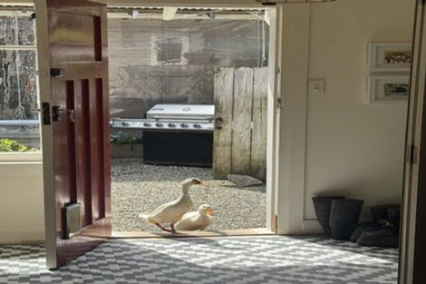 Photo of property in 331 Kaipara Flats Road, Warkworth, 0981