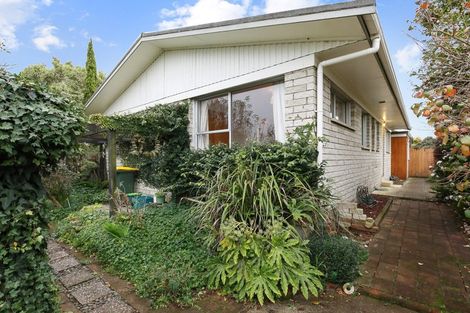 Photo of property in 347b Peachgrove Road, Fairfield, Hamilton, 3214