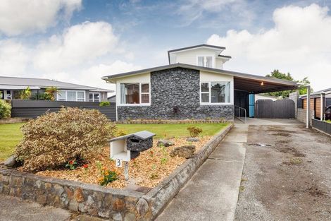 Photo of property in 3 Aotea Street, Feilding, 4702