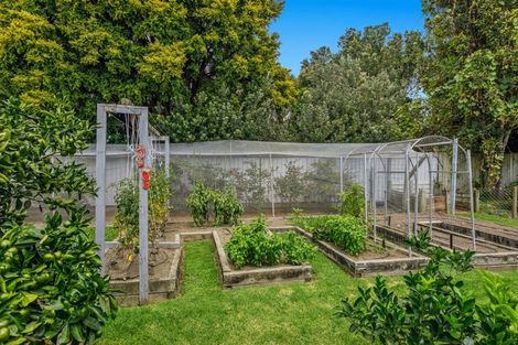 Photo of property in 15 Riverside Drive, Whakatane, 3120