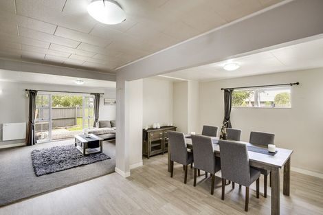 Photo of property in 43 Lanark Place, Tamatea, Napier, 4112