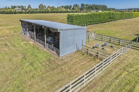 Photo of property in 1901 South Eyre Road, Eyrewell, Rangiora, 7476