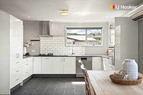 Photo of property in 119a Fitzroy Street, Forbury, Dunedin, 9012