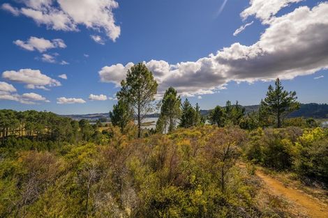 Photo of property in 2826 Tairua Whitianga Road, Kaimarama, Whitianga, 3591