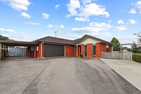 Photo of property in 55 Snell Street, Morrinsville, 3300