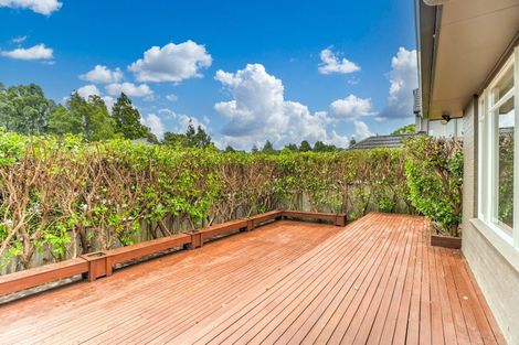 Photo of property in 12 Kouras Place, Flat Bush, Auckland, 2016