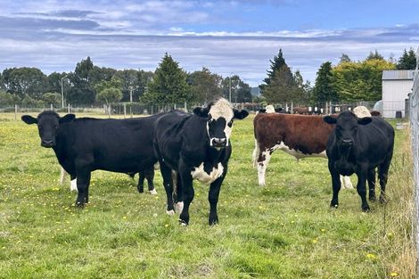 Photo of property in 35 Pioneer Highway, Mataura, Gore, 9774