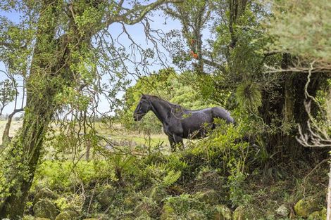 Photo of property in 3095 Carrington Road, Okato, New Plymouth, 4381